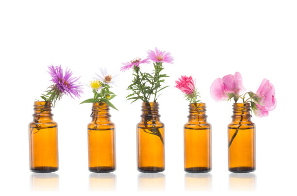 istock Bottle of essential oil with herbs. 1064361602