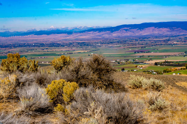 istock Mountain and Valley Haze 1064378152