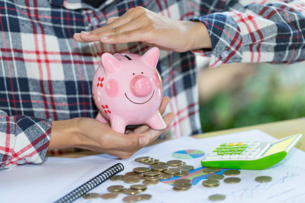 istock Piggy bank protected by hands, Savings protection. 1064378342