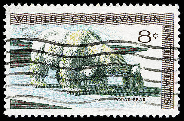 istock Polar Bear Wildlife Conservation Stamp 106439124
