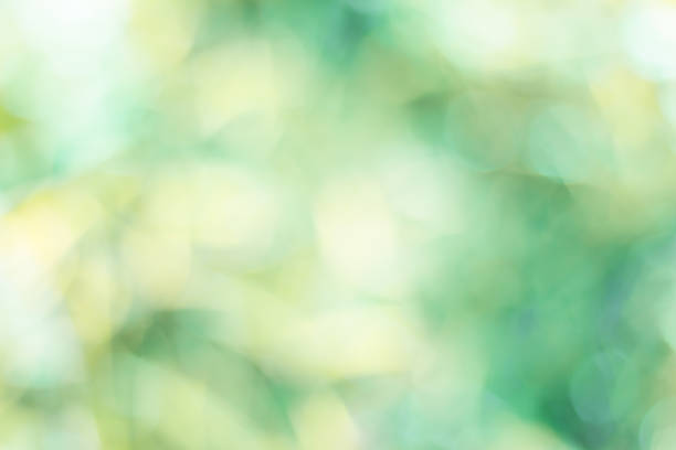 istock green blurred backdrop of nature, circle light wallpaper, white bokeh background 1064393048