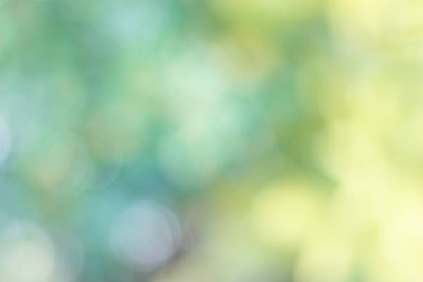 istock green blurred backdrop of nature, circle light wallpaper, white bokeh background 1064393058