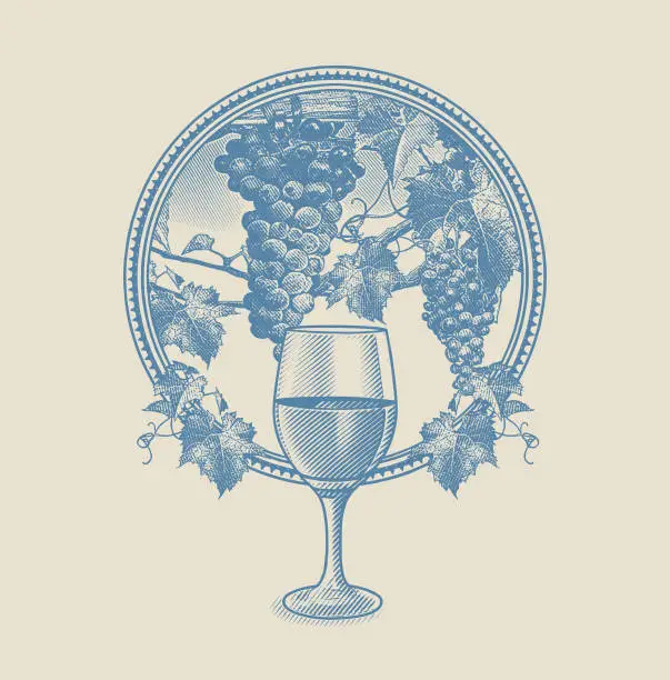 Vector illustration of Vineyard grapes and glass of wine in circle frame