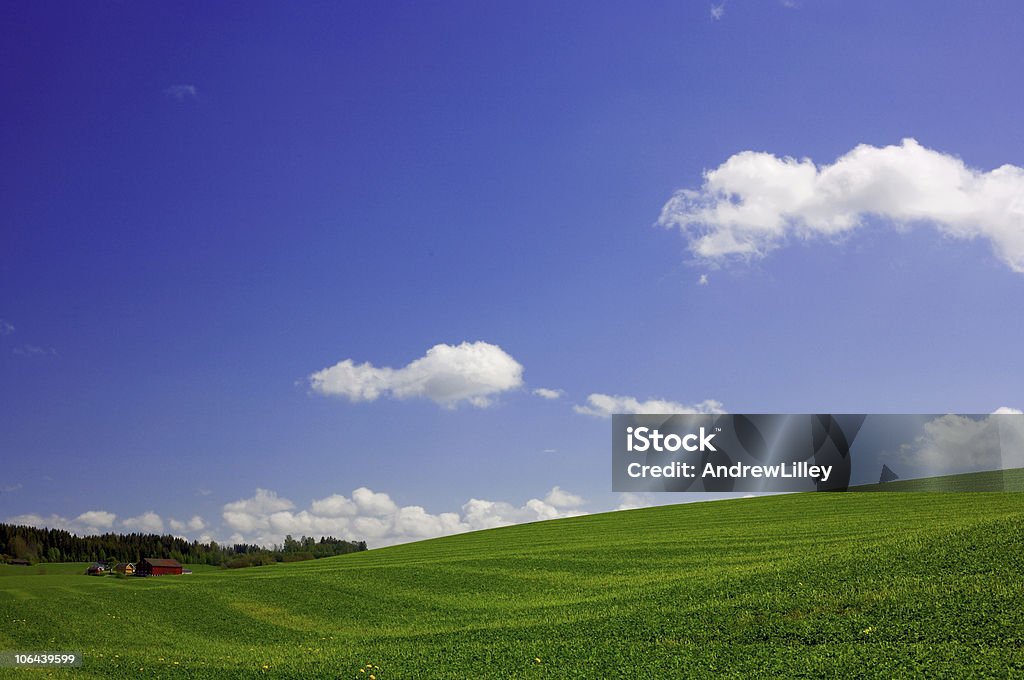 Grass, clear sky and farm  Agricultural Field Stock Photo