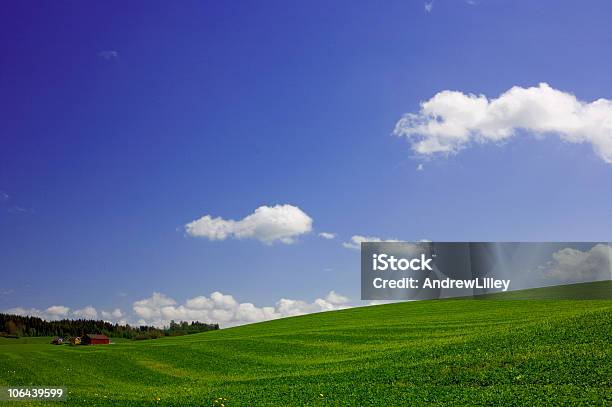 Grass Clear Sky And Farm Stock Photo - Download Image Now - Agricultural Field, Agriculture, Barn