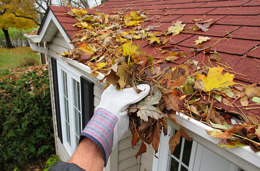 Nature... This Close up, shows some one cleaning leaves from a roof top gutter 