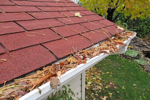 Nature... This shot, shows a rooftop, where the gutters are clogged with autumn leaves.