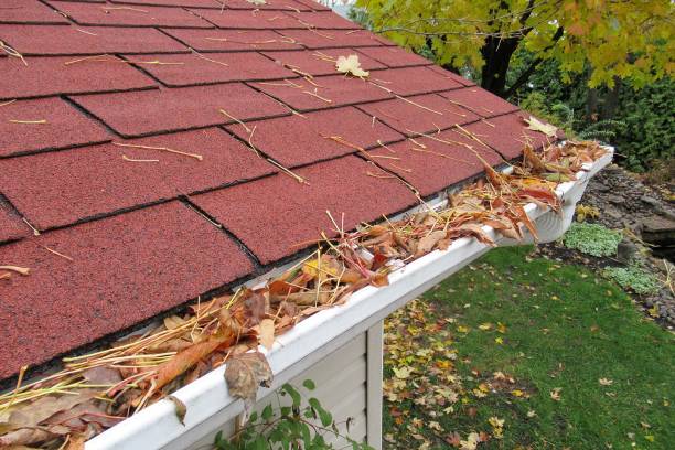 Nature, " Home Maintenance, Clearing Gutters " Nature... This shot, shows a rooftop, where the gutters are clogged with autumn leaves. olympic peninsula photos stock pictures, royalty-free photos & images