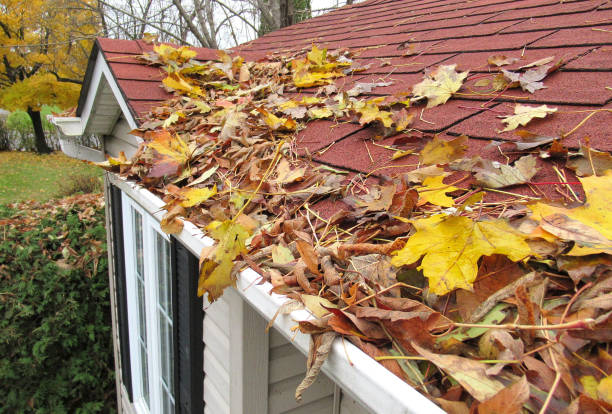 Nature, " Home Maintenance, Clearing Gutters " stock photo
