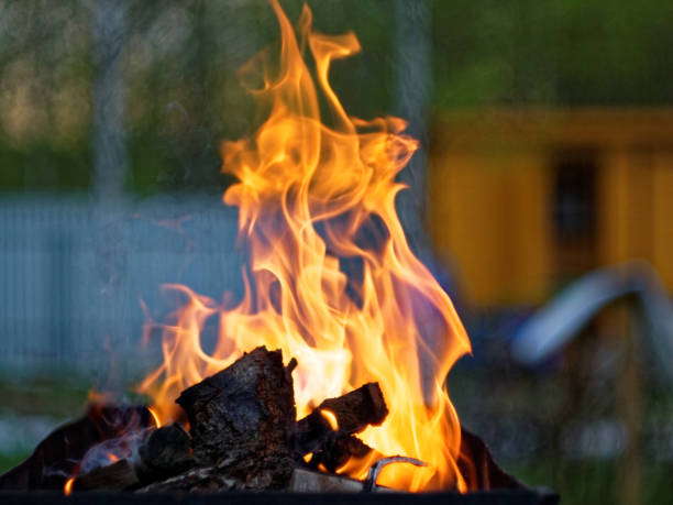 istock fire burns on wood in the grill 1064402998