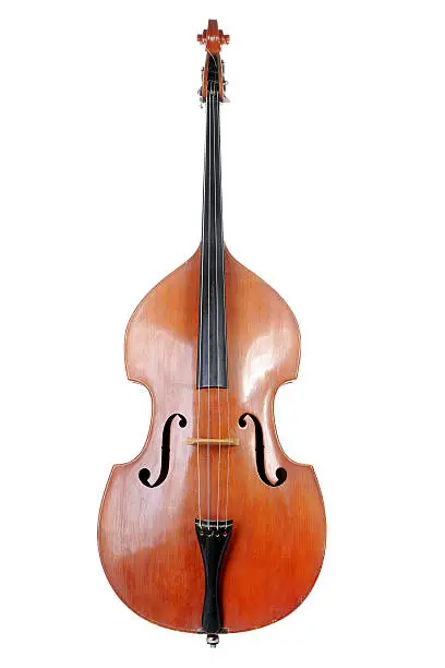 Photo of Vertically placed Contrabass on a white background