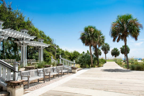 istock Beautiful boardwalk leading to the beach. 1064403128
