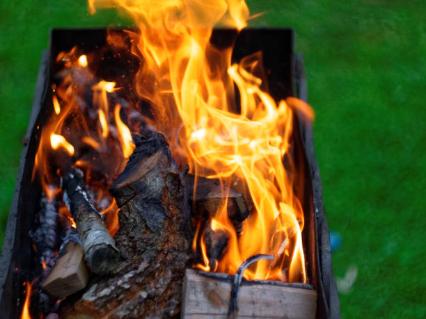 istock fire burns on wood in the grill 1064403376