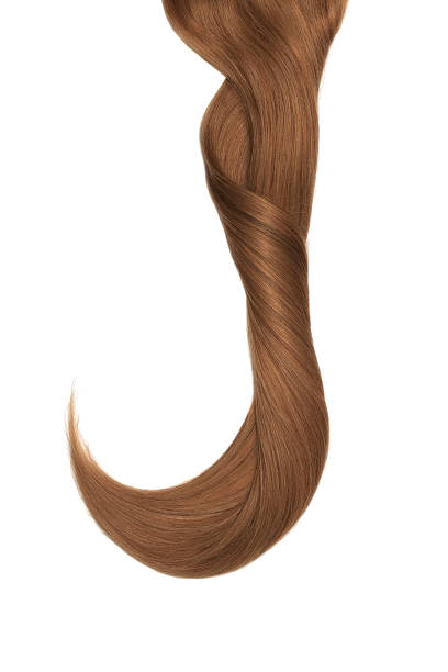 istock Brown hair isolated on white background. Long beautiful ponytail 1064412546