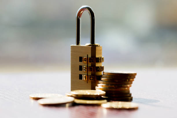 istock Financial wealth and password lock, wealth security and protection 1064415528