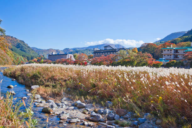 istock Shiobara onsen in Autumn. 1064419196