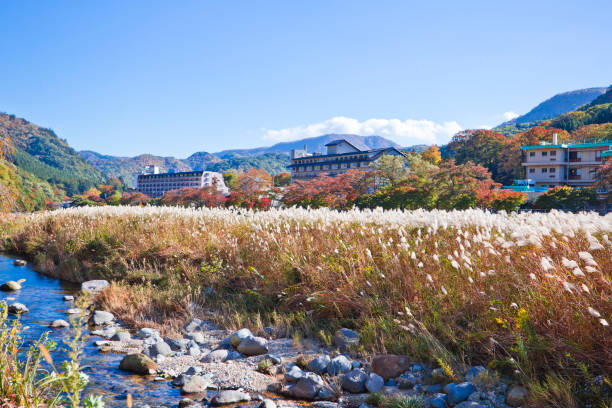 istock Shiobara onsen in Autumn. 1064419230