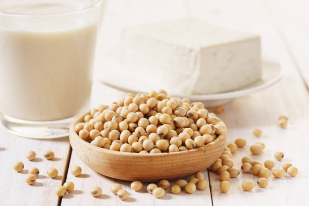 soy products with soybean, soymilk and tofu - grain and cereal products imagens e fotografias de stock