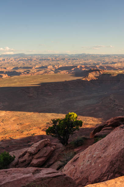 istock Canyonlands National Park 1064435768