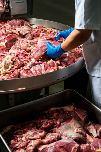 meat factory worker - retail occupation flash imagens e fotografias de stock