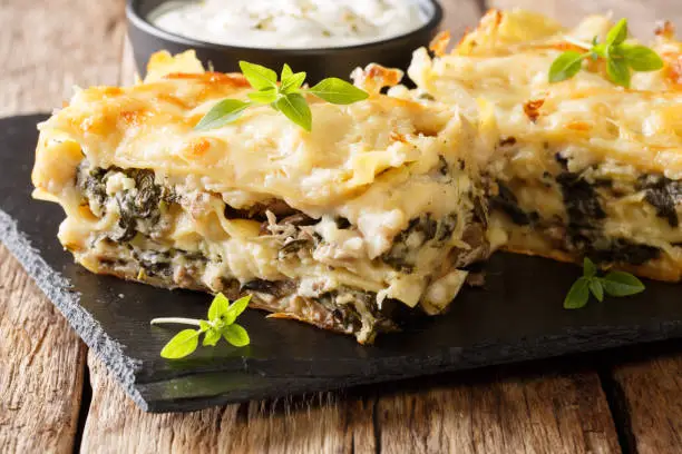 Homemade rustic lasagna with chicken, mushrooms, mozzarella and parmesan cheese and bechamel sauce closeup on a slate plate. horizontal