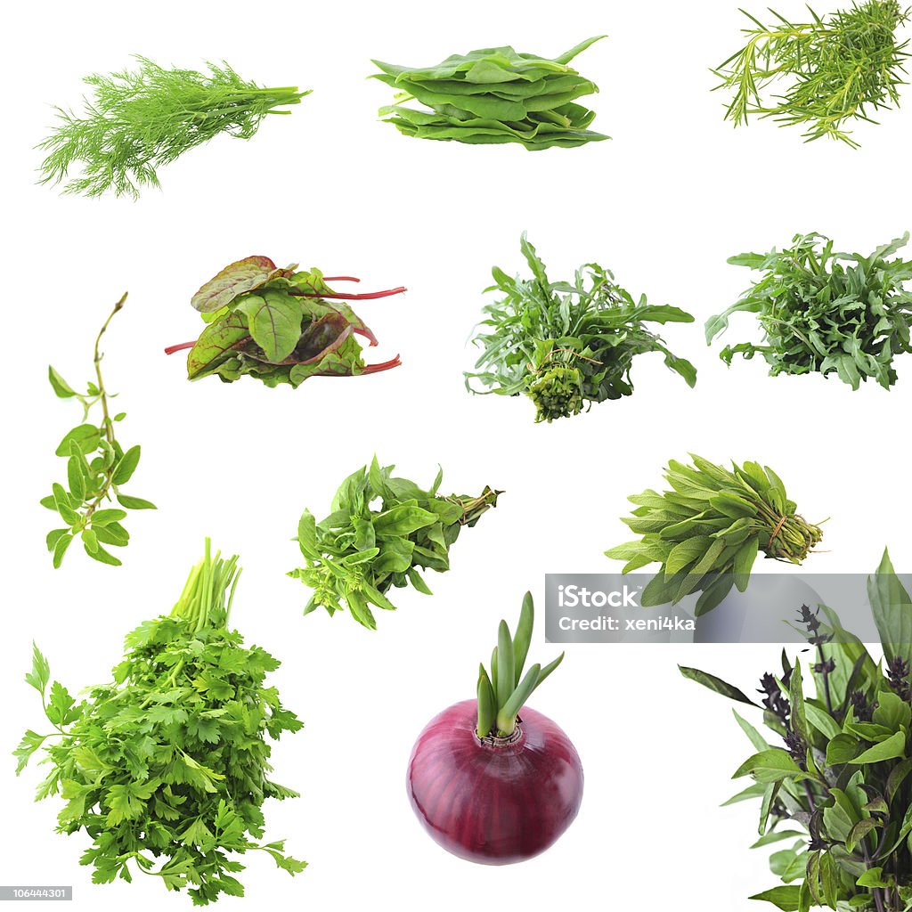 Collection of fresh herbs necessary on the each kitchen XXXLarge dill, spinach, rosemary;  Spinach Stock Photo