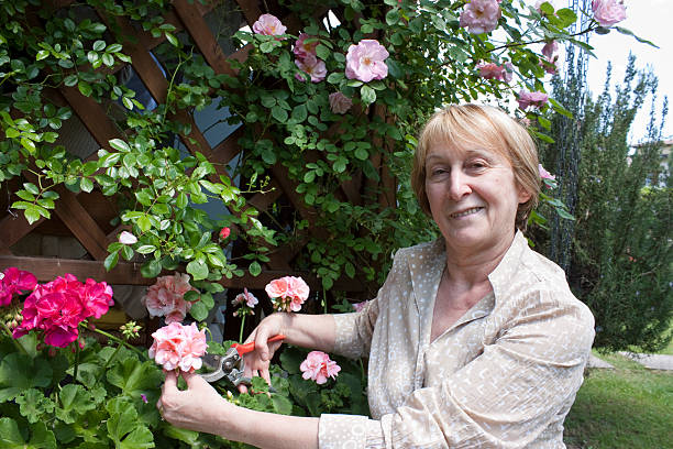 istock Senior Woman Gardening 106444743