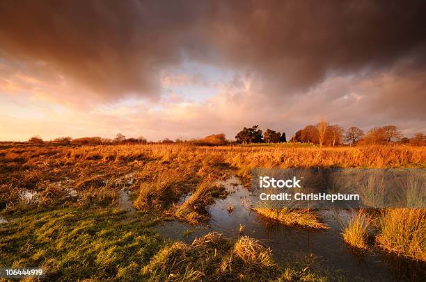 드라마틱 Marshland 해질녘까지 늪에 대한 스톡 사진 및 기타 이미지 - 늪, 영국, 잉글랜드