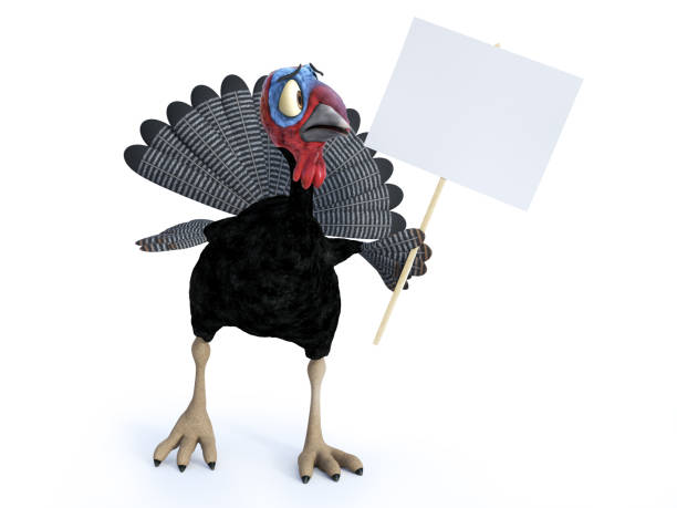 istock 3D rendering of a silly toon turkey looking at blank sign. 1064454552