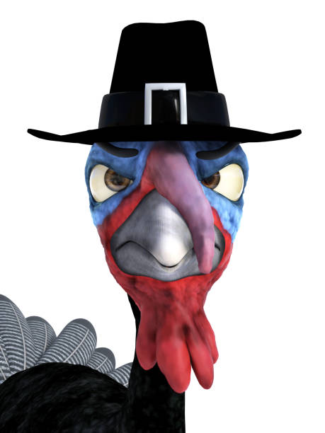 istock 3D rendering of a silly angry toon turkey wearing pilgrim hat. 1064454554