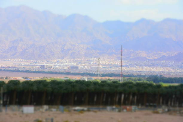 istock Date Plantations in the Arava 1064461052