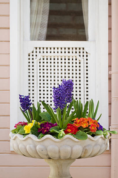 istock flower on marble flowerpot in front a window 106446222