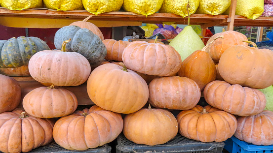 Pumpkins sold in the market