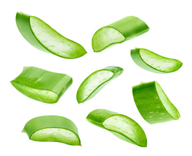 istock Aloe Vera isolated on a white background 1064462716