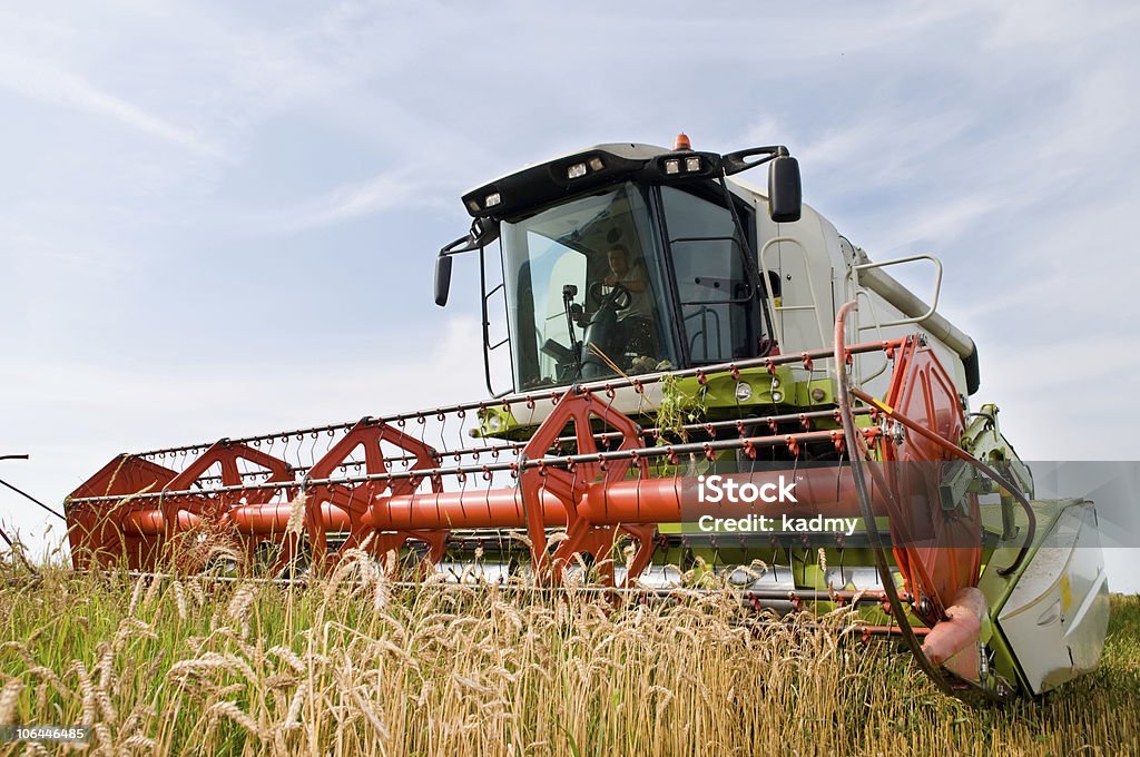 Colheita combinar no campo de trigo - Foto de stock de Agricultura royalty-free