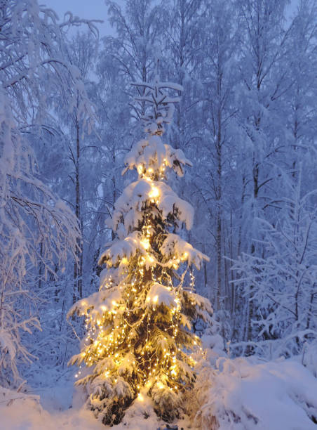 istock Christmas tree with lights and snow cover on Christmas eve 1064465270