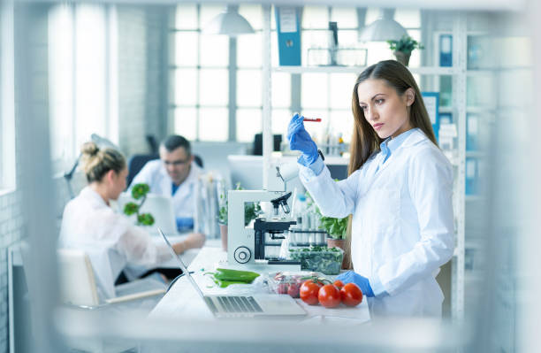 biologa donna che analizza pomodori in laboratorio - environmental conservation chemistry laboratory biomedicine foto e immagini stock