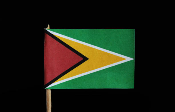 A national flag of Guyana on toothpick on black background. A green field with the black edged red isosceles triangle based on the hoist side superimposed on the larger white golden triangle. A national flag of Guyana on toothpick on black background. A green field with the black edged red isosceles triangle based on the hoist side superimposed on the larger white golden triangle isosceles triangle stock pictures, royalty-free photos & images