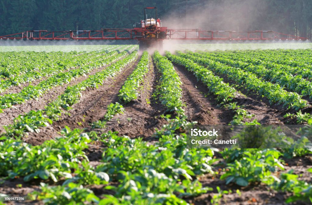 herbicide application of herbicide on a field Crop - Plant Stock Photo