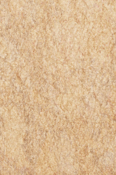 античный бежевый животных кожи пергамент грубый пестрый wizened гранж текстура - vellum close up printed media condition стоковые фото и изображения