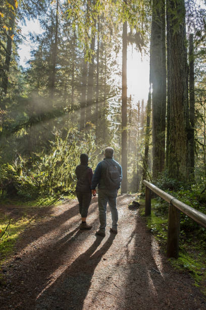 istock Backlit Hikers on Trail Admiring Sun Streaming Through Autumn Forest 1064483498