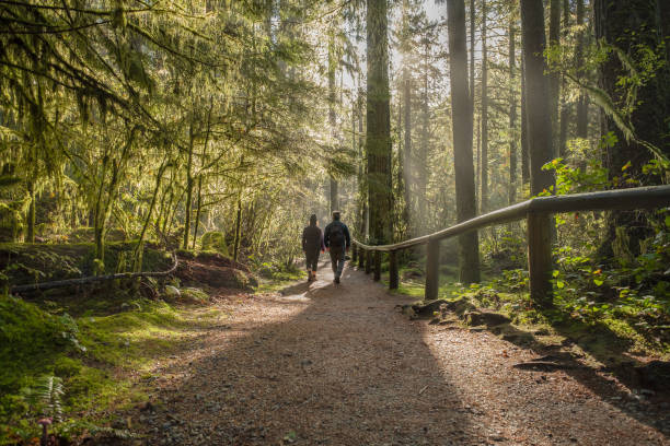 mężczyzna i kobieta idący szlakiem leśnym, kolumbia brytyjska, kanada - parks canada zdjęcia i obrazy z banku zdjęć