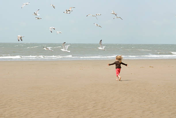 my ten years old daughter is feeding the gulls  with bred and she had have manny fun