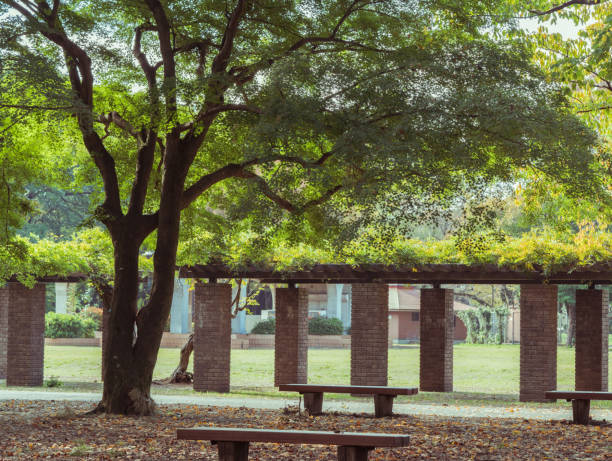 istock Park landscape nature tree material retro background 1064486264
