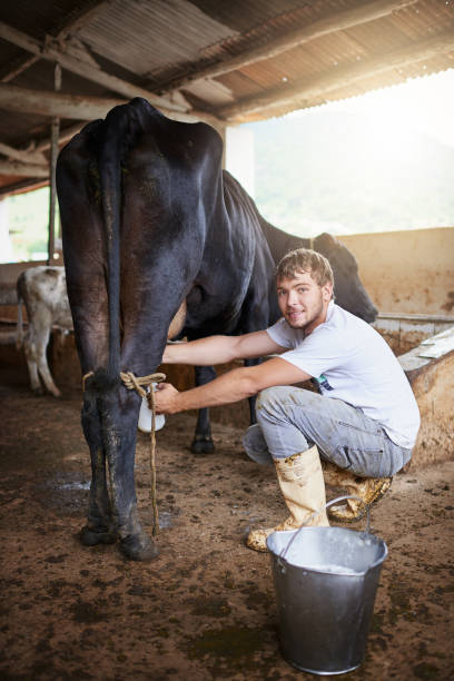 istock Where did you think milk came from? 1064489258