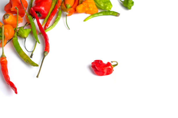 istock Hot peppers on white background top view 1064489524
