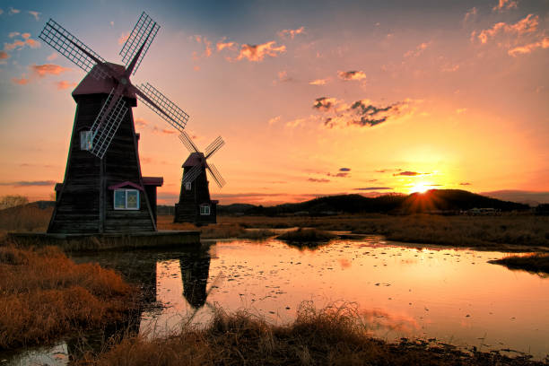 Sunrise in the Wetlands
