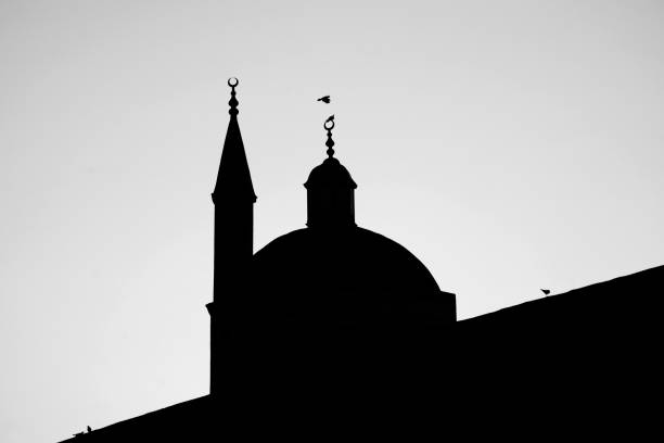 Islamic Architecture. Silhouette of a Mosque Top. Istanbul, Turkey. Black and white photography of a minaret and a half-moon symbol of Muslim faith and religion. Birds on the roof. Graphic design style. Buildings and landmarks in Turkey. Asian, Islamic culture. religious objects and temples.