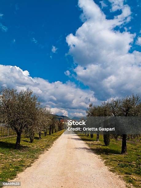 Foto de Country Road Para A Fazenda e mais fotos de stock de Estrada em Terra Batida - Estrada em Terra Batida, Vista Frontal, Azul