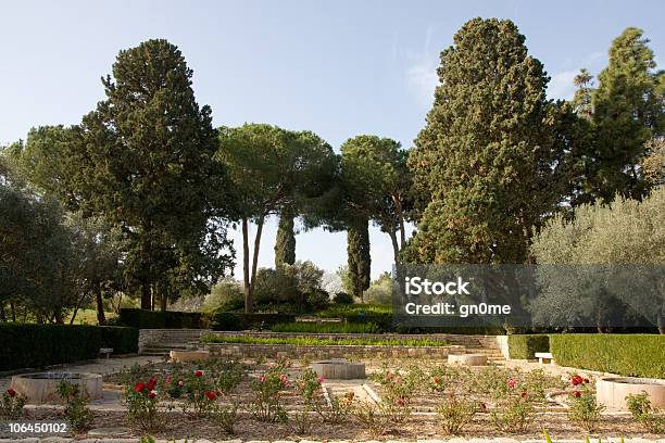 Giardino Verde Con Alberi - Fotografie stock e altre immagini di Aiuola - Aiuola, Albero, Ambientazione esterna